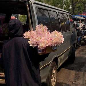 日本少妇好丰满
