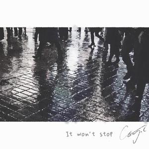 日本少妇好丰满
